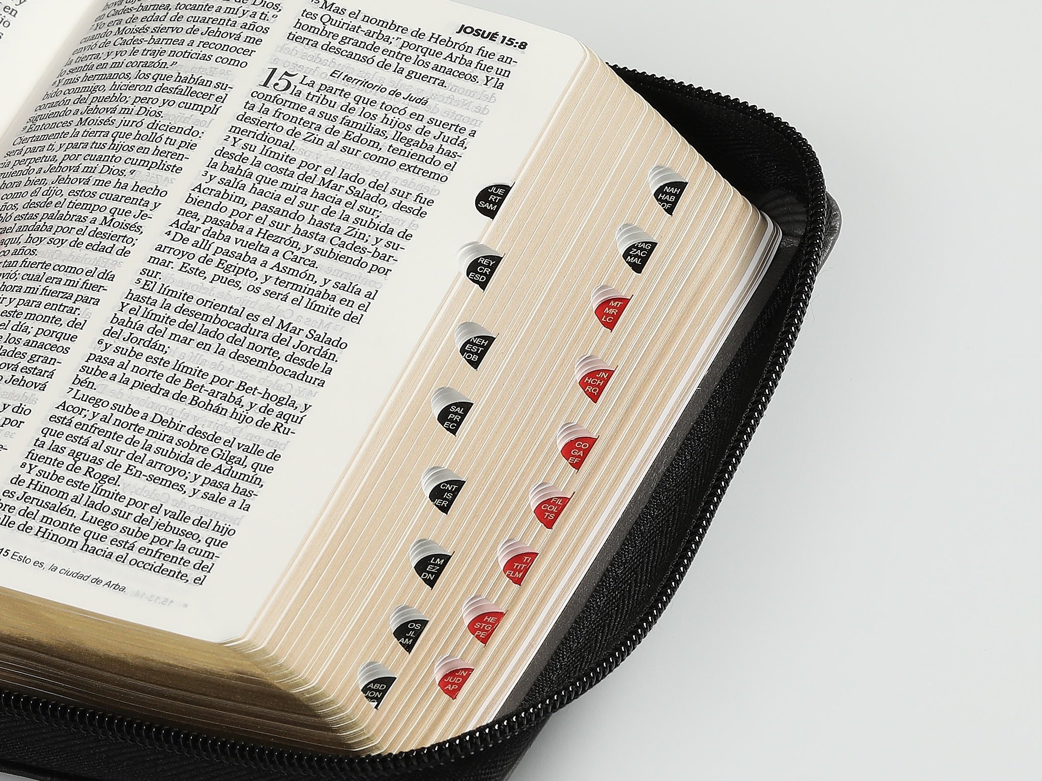 Biblia RVR60 Bolsillo negro